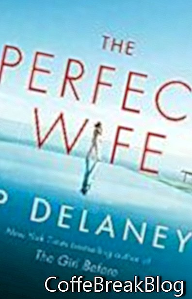 Recenzia knihy Perfect Wife Book