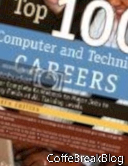 obálka Top 100 počítačových a technických kariér