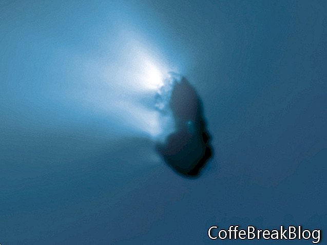 Der Halleysche Komet