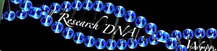 Kutatási DNS-írók áttekintése