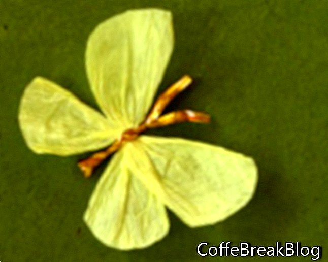 fotografija gotovega metulja iz papirja