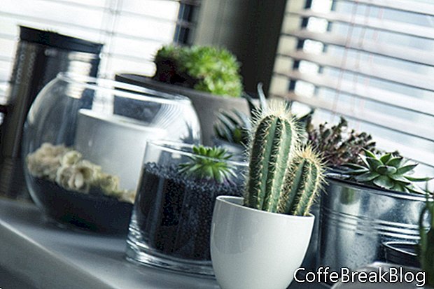 Café molido y plantas de interior