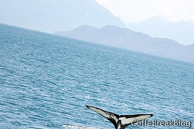 Lebuhraya Marin Alaska - Siri Lebuhraya Indah