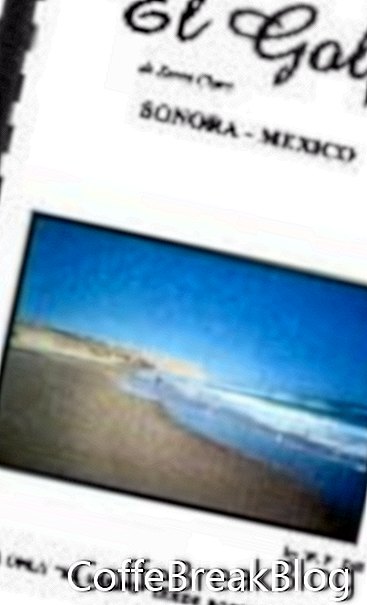 ספר מדריך El Golfo